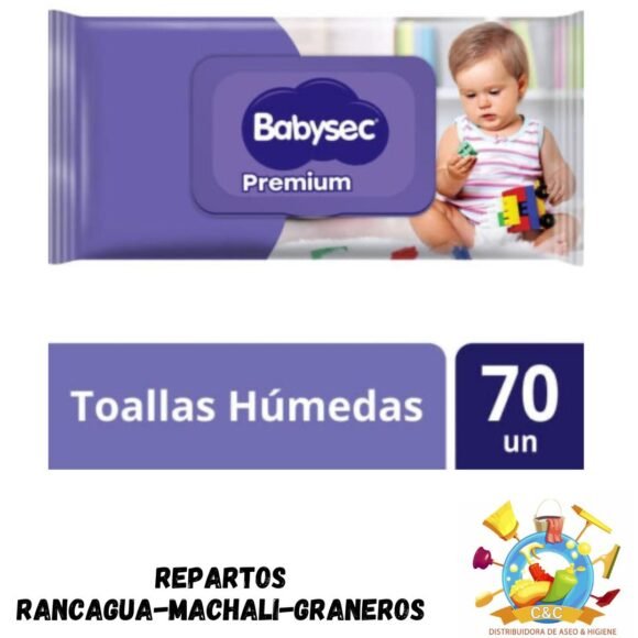Toallas húmedas baby Sec Premium 70 unidades
